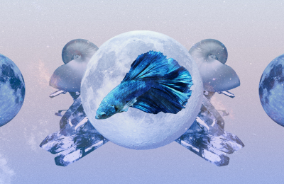 Neptune in Pisces Ending Soon: Exact Dates and What It Means