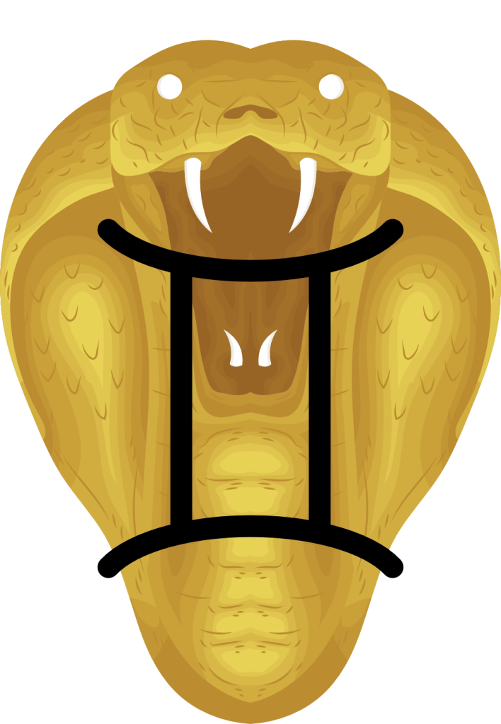 year of the snake gemini