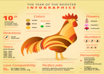 Year of the Rooster Scorpio: Whats Your Fortune in 2024?