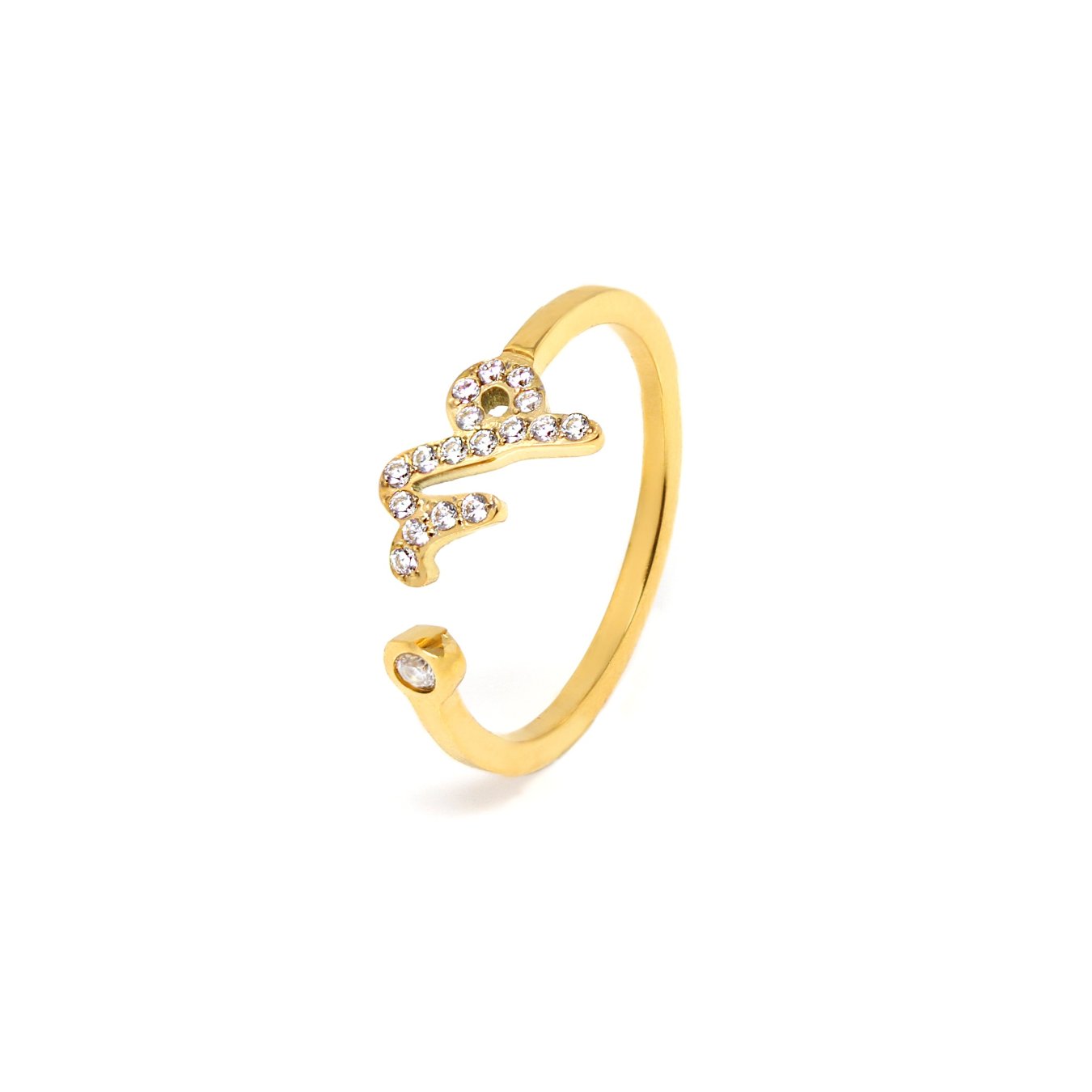 Capricorn Ring: Where to Buy and How to Choose the Perfect One for You.