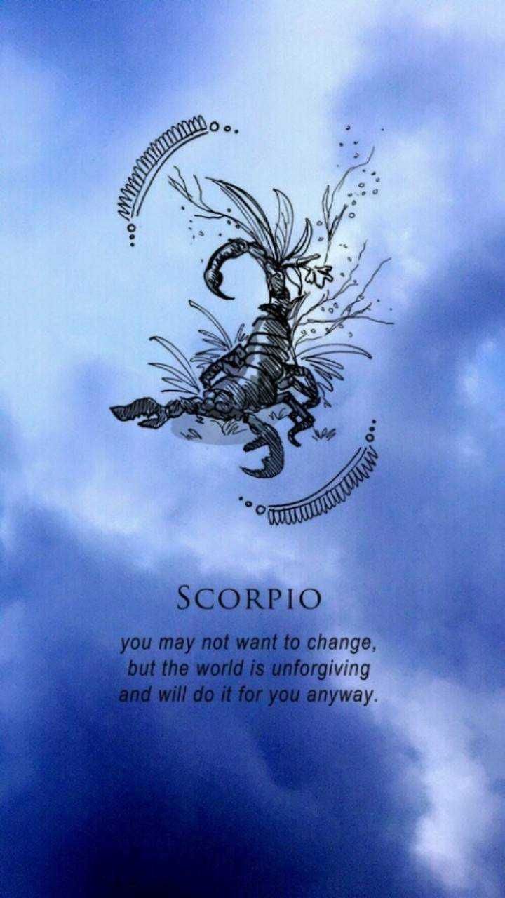 Top Wallpaper Scorpio Pictures and Backgrounds Youll Love
