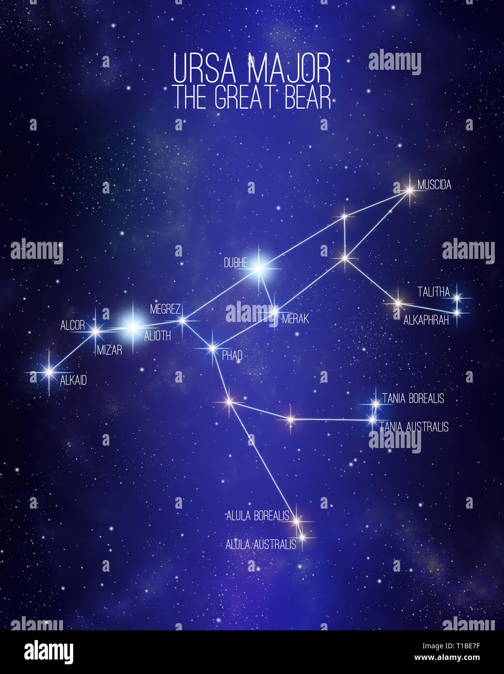 Decoding the Bear in Constellation Names NYT