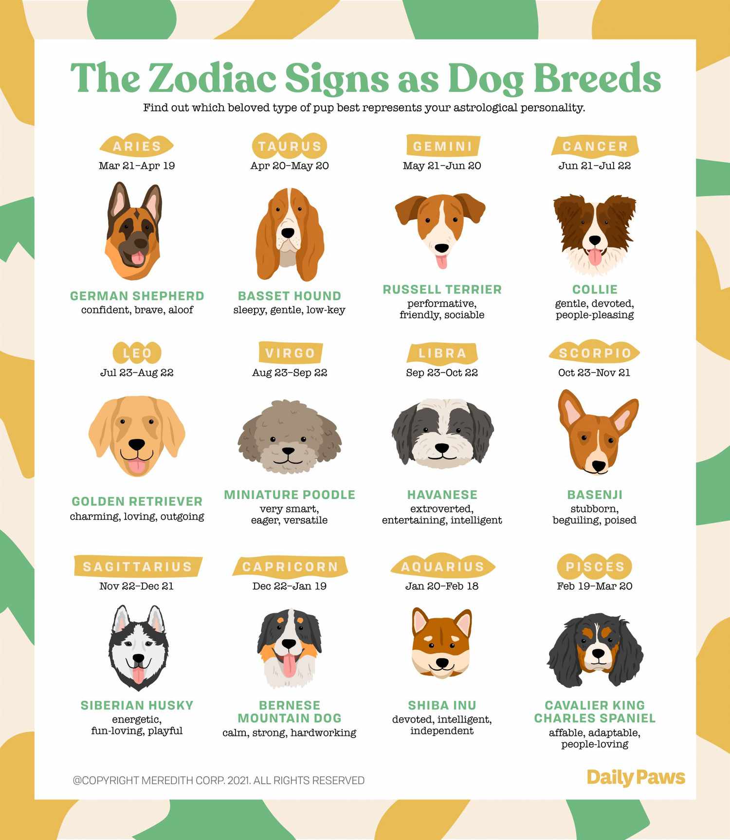 Virgo Dog Compatibility: Which Zodiac Signs Are Best for This Dog?