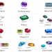 What Birthstone is Pisces? Discover Your Lucky Gems Now!