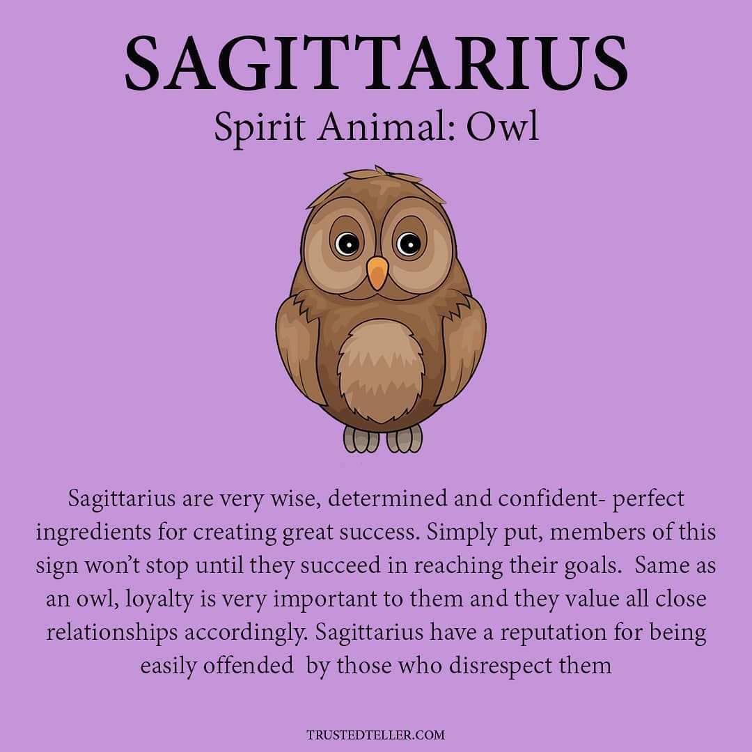 What Spirit Animal Is A Sagittarius Exploring Sagittariuss Symbolic Totem