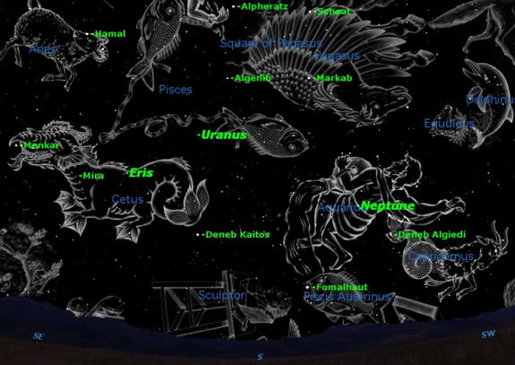Cool Facts About Constellation Animals You Probably Didnt Know