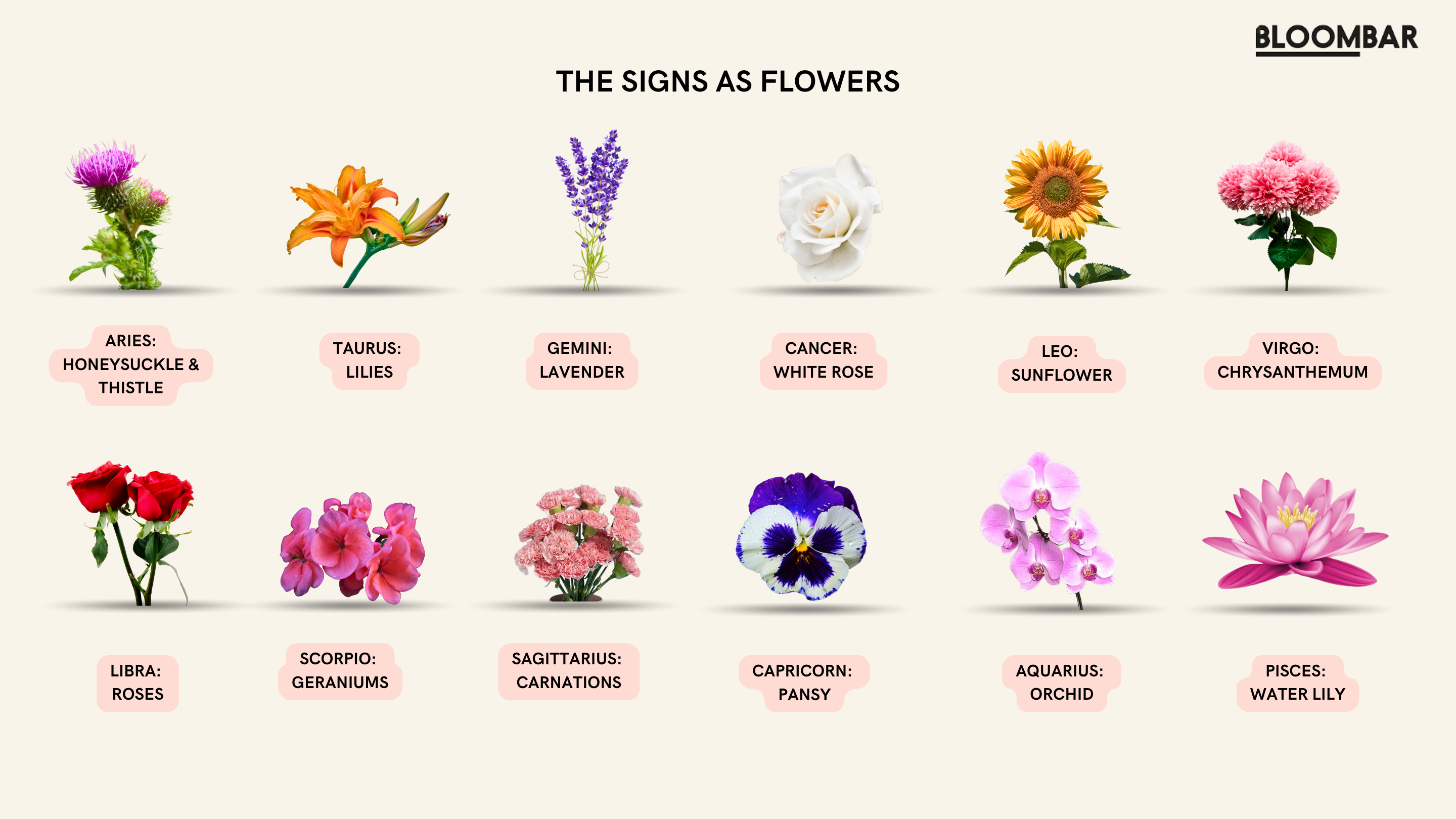 What is a Capricorn Flower? Learn about the Zodiacs Special Blooms