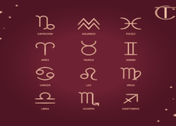 Unlock Your Potential:  Second House in Virgo Explained