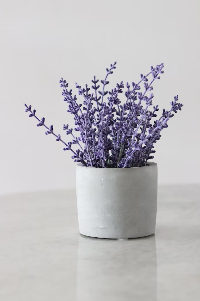 what is the gemini flower