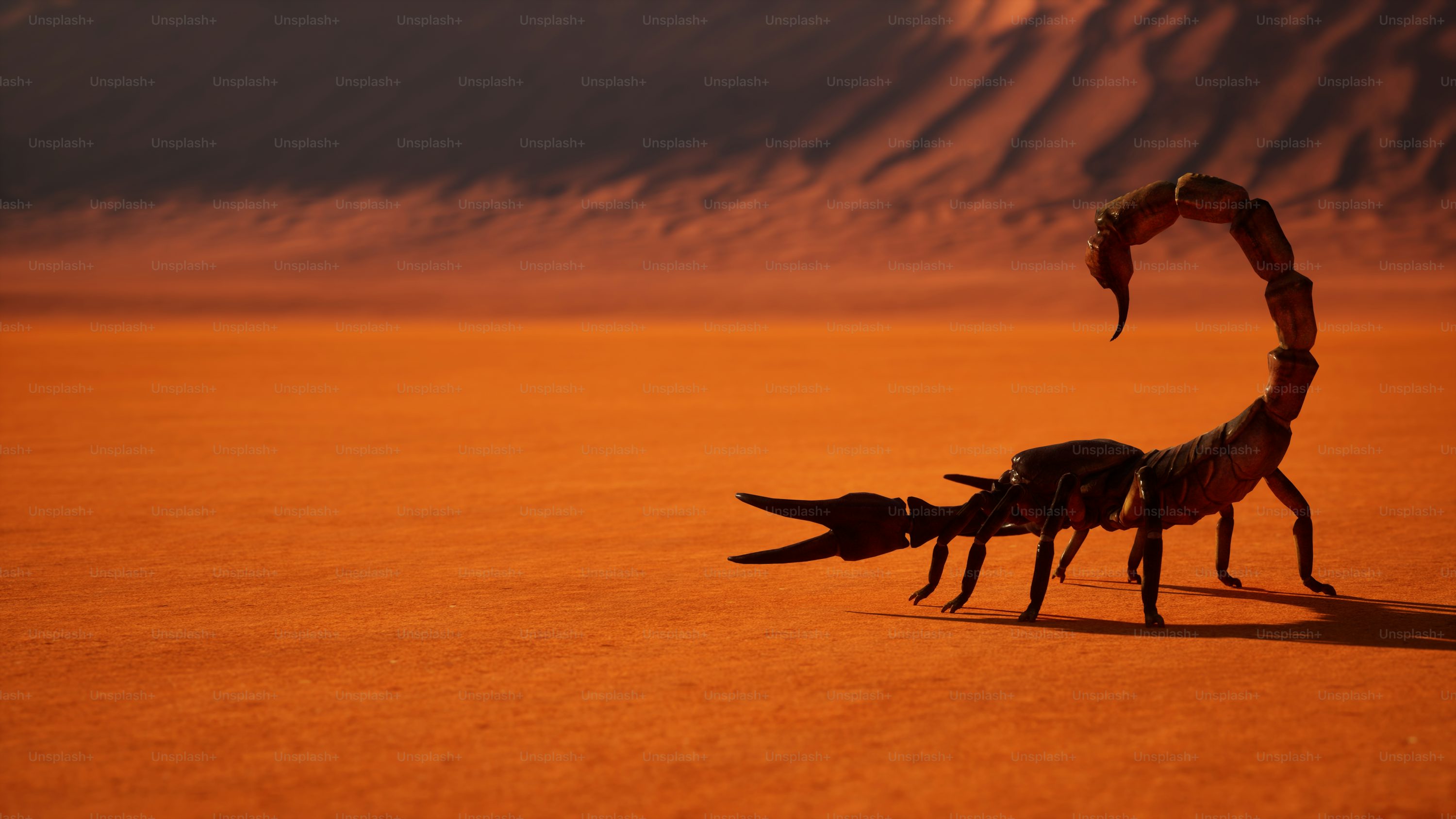 Download Wallpaper Scorpio: High Quality, Free Images