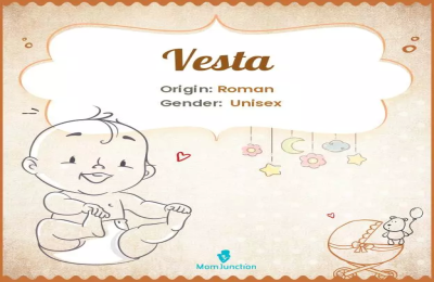 What Is Vesta Leo and Why You Need It (Simple Guide)