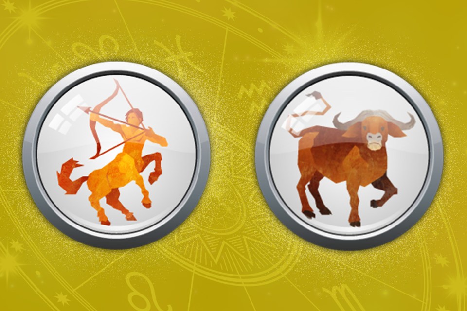 sagittarius year of the ox what to expect in love work and life