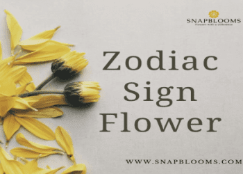 zodiac flowers gemini
