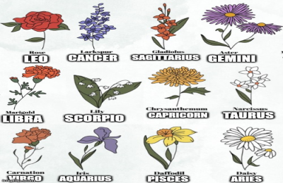 what is the gemini flower