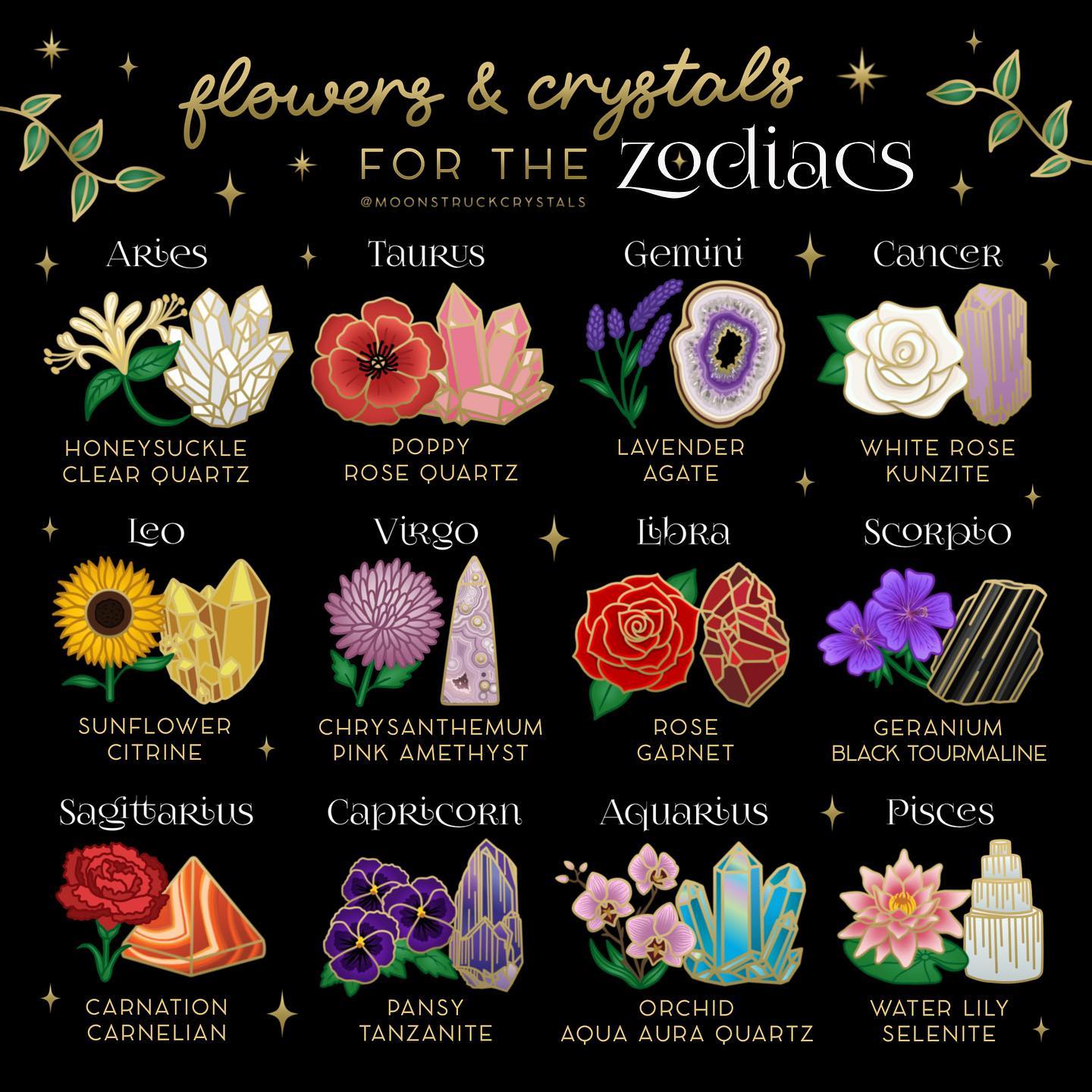 What Flowers Represent Capricorn? Exploring Zodiac Floral Choices