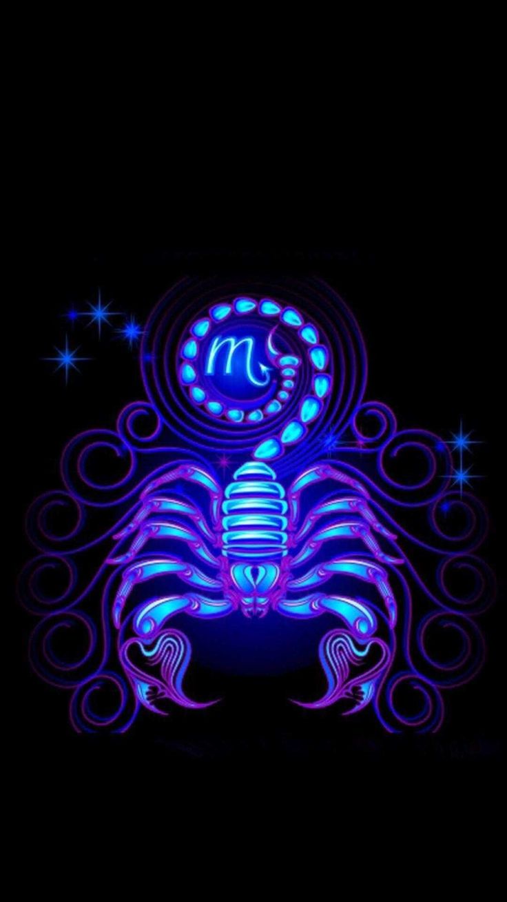 Top Wallpaper Scorpio Pictures and Backgrounds Youll Love