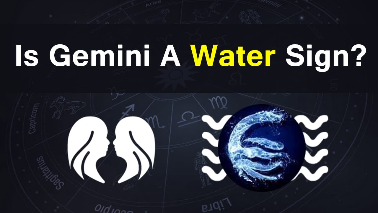 water gemini