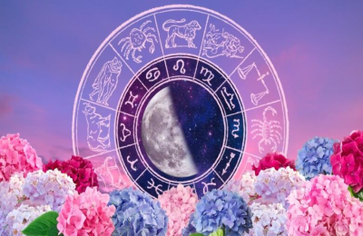 Sun in Pisces Moon in Leo: How This Mix Makes You Creative and Confident (Best Zodiac Guide)