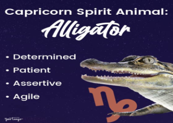 What Spirit Animal Is A Sagittarius Exploring Sagittariuss Symbolic Totem