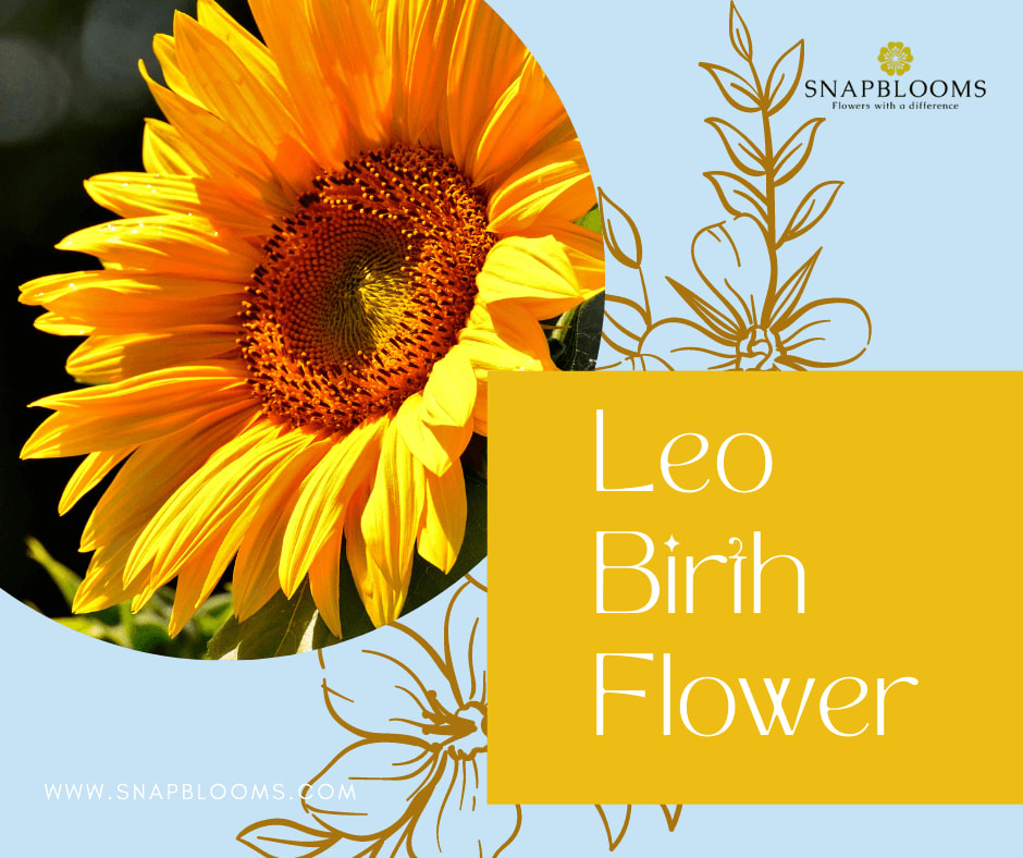 Zodiac Flower for Leo: Sunflowers and More Lucky Picks