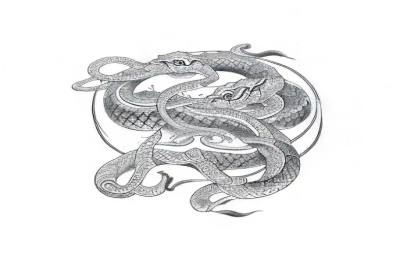 taurus snake horoscope