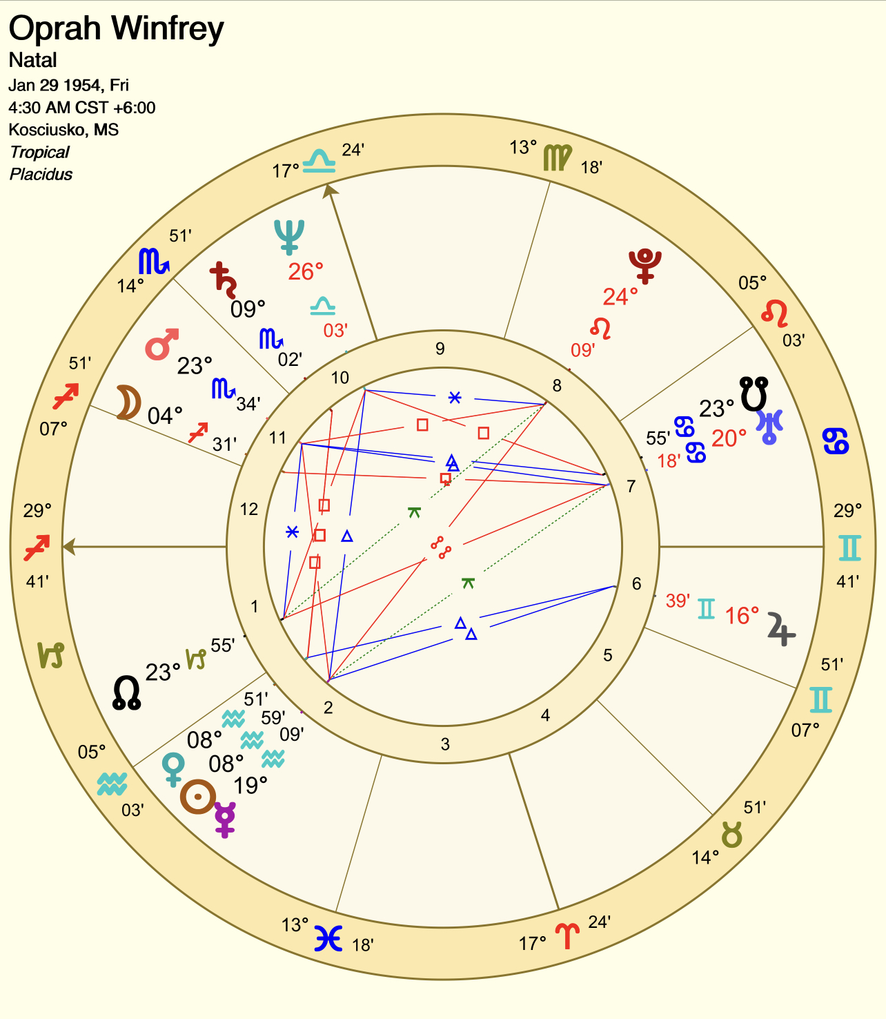 Tenth House in Sagittarius: What Does It Mean for You?