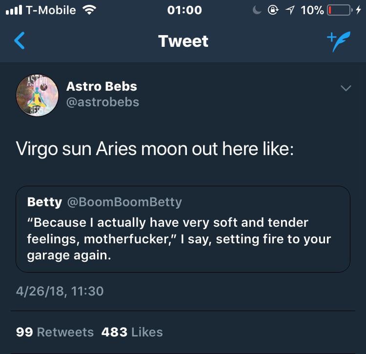 Virgo Sun Aries Moon: What Does This Combination Mean for You?