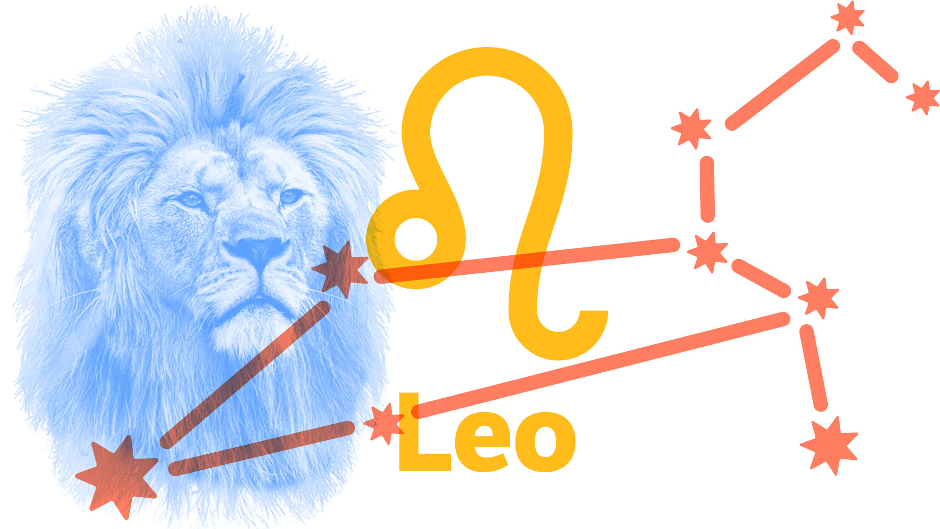 Words Starting with LEO: Fun Vocabulary for Everyone