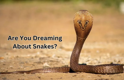 Sagittarius Snake Woman: Whats Her Secret? (Learn About Her Unique Personality)