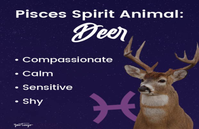 Pet Libra: Are They Right for You? (A Quick Guide to Understand the Libra Pet)