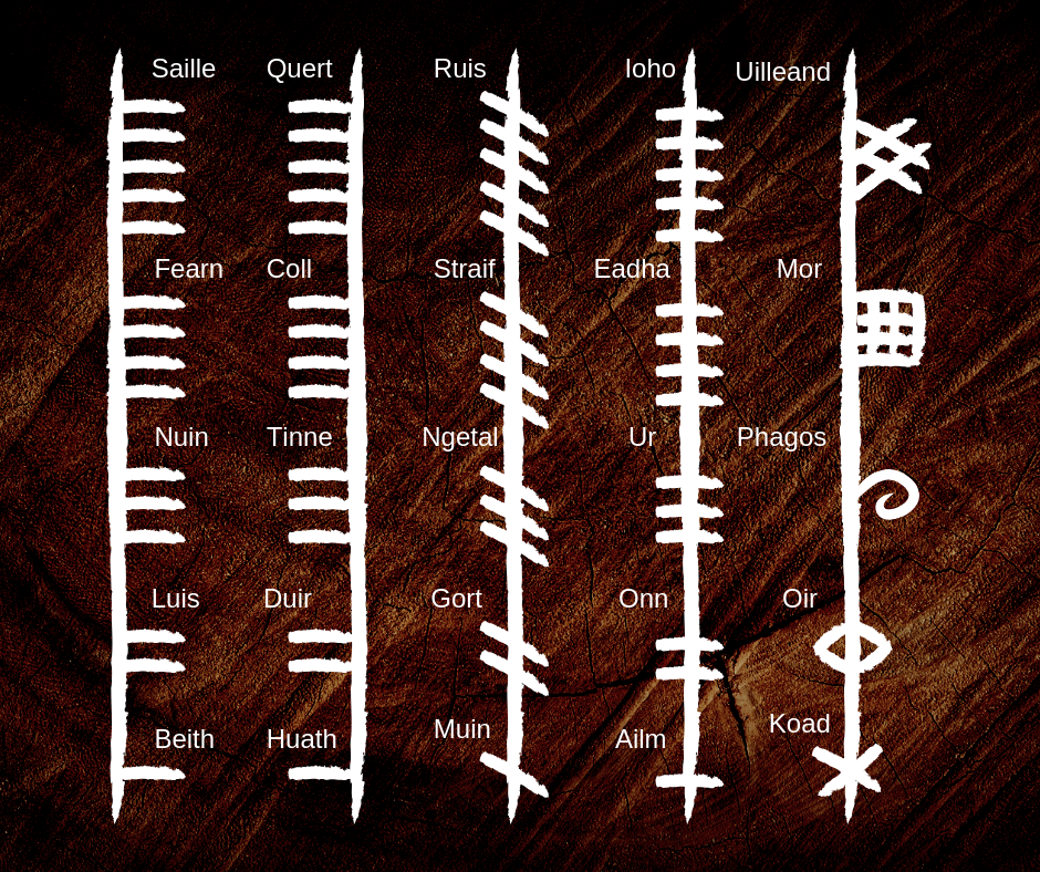 ogham divination