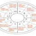 Sagittarius Rising Cancer Sun: How Do These Signs Blend Together in Your Birth Chart?