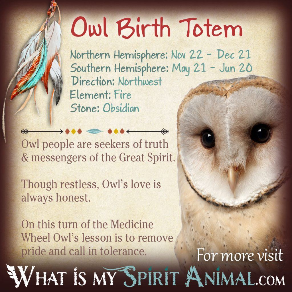 The Owl as Your Sagittarius Spirit Animal: Find Out More!