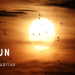 sun in aquarius ascendant in scorpio