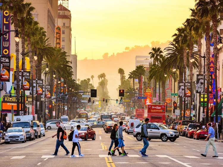 Exploring Constellation Boulevard: Top things to do and see there.