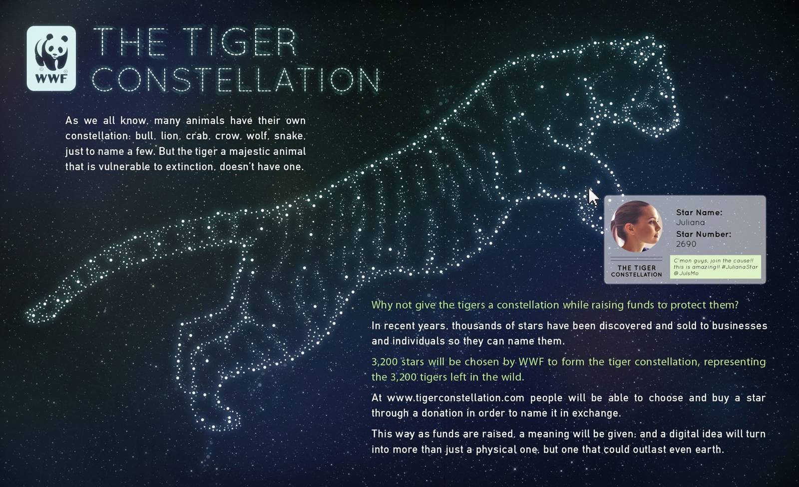 Tiger Constellation Facts: Learn All About This Powerful and Majestic Star Pattern!
