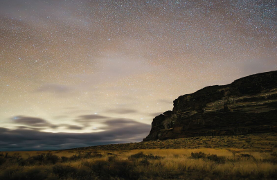 Plan Your Visit to Constellation Park Light Farms!