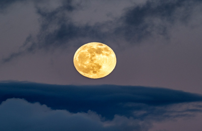 Sun in Virgo Moon in Scorpio: A Deep Dive Into This Personality!