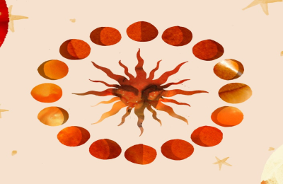 What is rabbit pisces a complete introduction to these cute and gentle creatures for you here