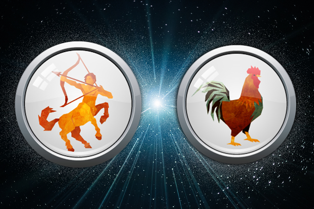 Sagittarius Rooster: The Ultimate Guide (Learn Everything About This Chinese Zodiac Combination)