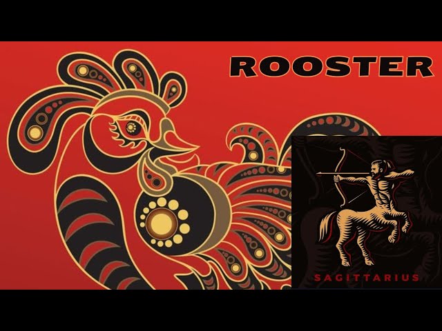Sagittarius Rooster: The Ultimate Guide (Learn Everything About This Chinese Zodiac Combination)