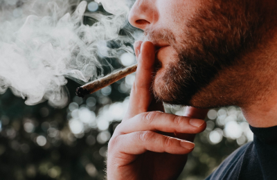 Aries Rising Strain Review: Is It the Right Choice for You?