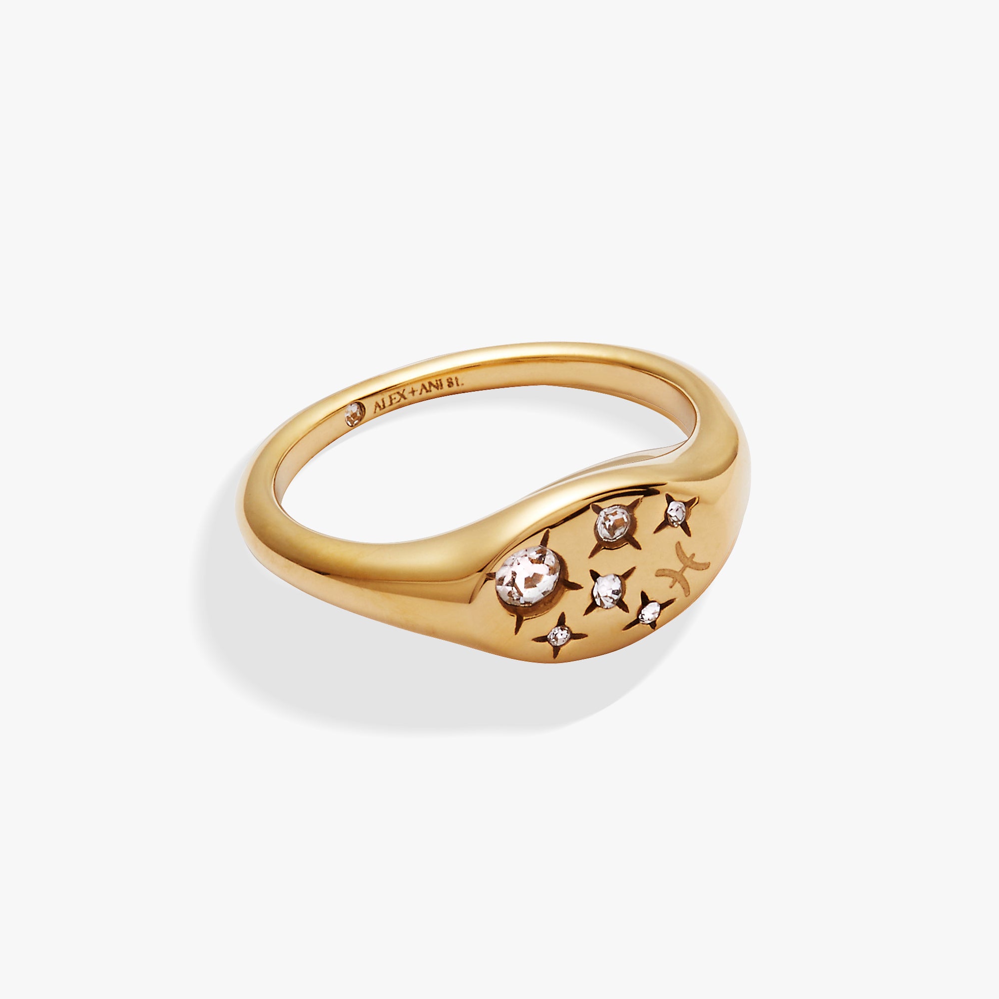 Cool Pisces Zodiac Ring: The Ultimate Guide for Astrology Fans