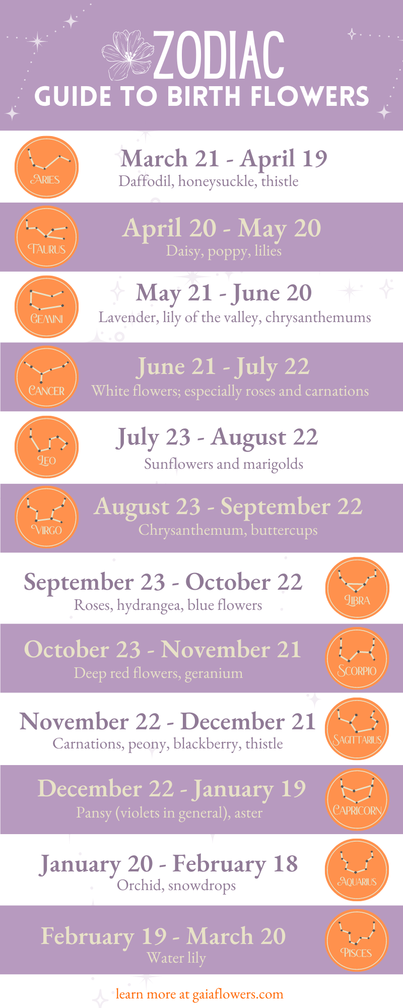 Your Flower of Capricorn Guide: Simple Tips for You