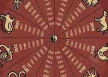 Scorpio and the Snake Year: Is It a Good Combination? (Find Out!)