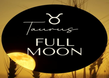 Aries Lee: Get the inside scoop of this rising star.