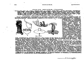 Henry Miller Tropic of Capricorn: Quick Analysis, Free PDF?