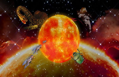 Pisces Sun Taurus Rising: What Does This Combo Mean (Simple Guide)