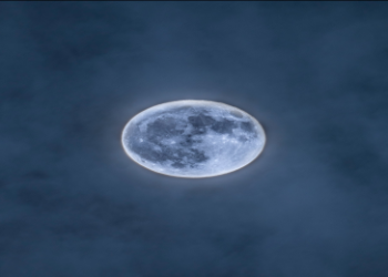 Aquarius Sun, Leo Moon: Understanding This Unique Astrological Combo