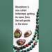 What birthstone is Aries and what does it mean for you?